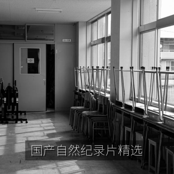 国产自然纪录片精选